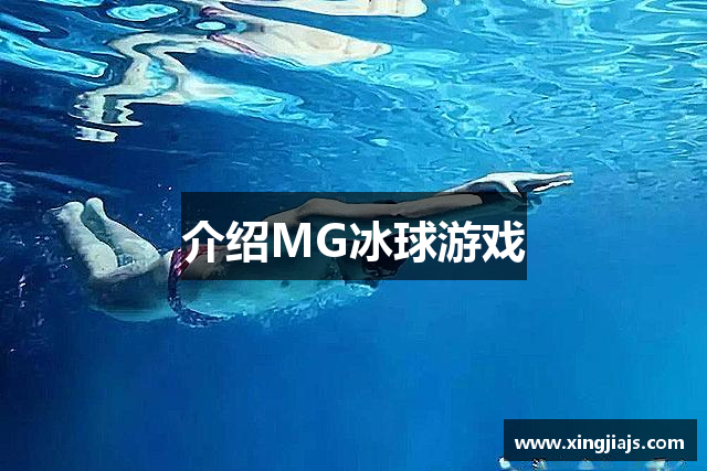 介绍MG冰球游戏
